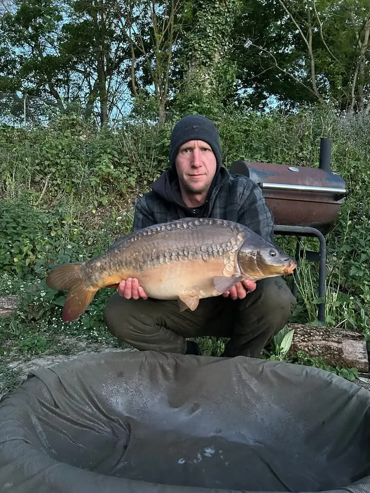 Mirror carp