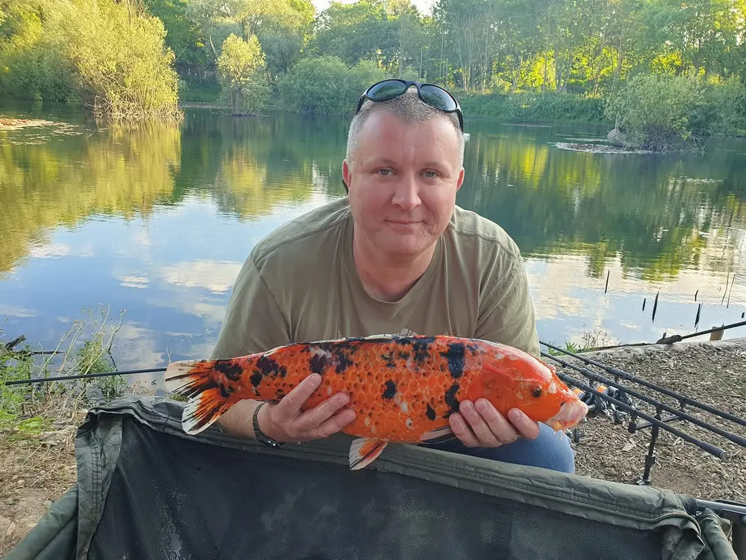 Kelly the koi