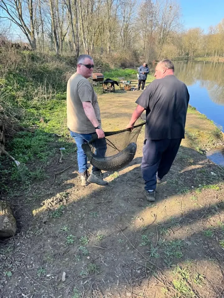 Members moving fish during fishery work